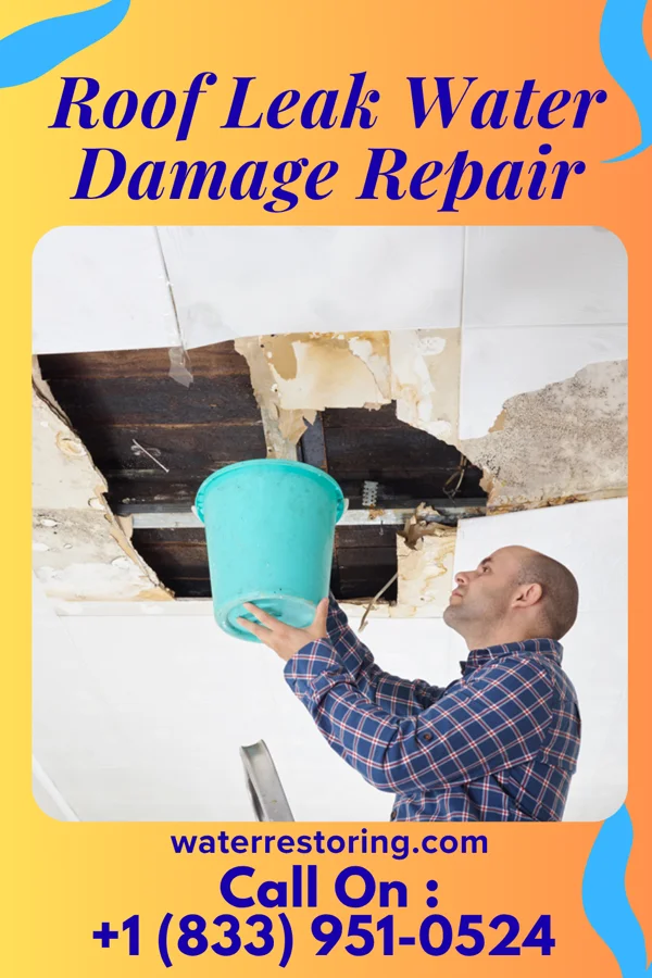 Roof Leak Water Damage Repair in Wales, WI