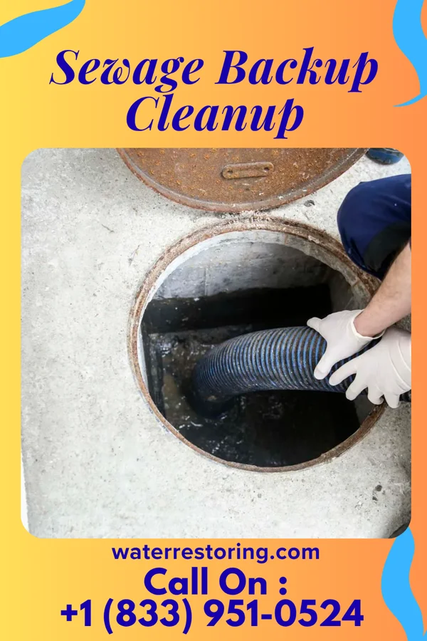 Sewage Backup Cleanup in Wales, WI