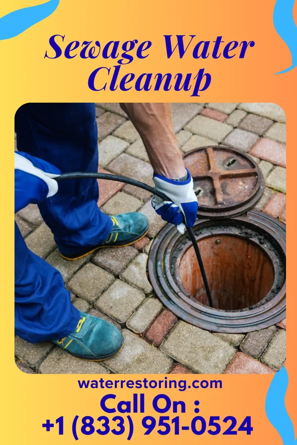 Sewage Water Cleanup in Wales, WI